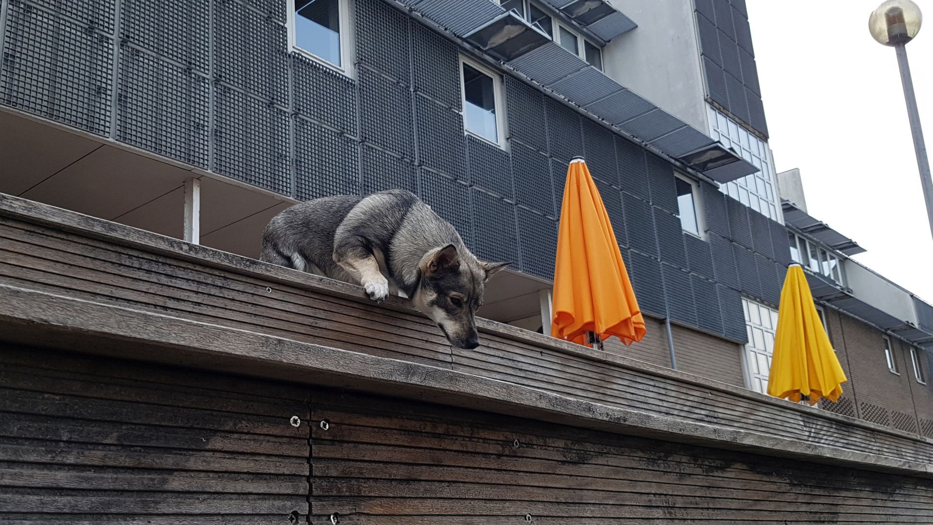 20180615_101020MP