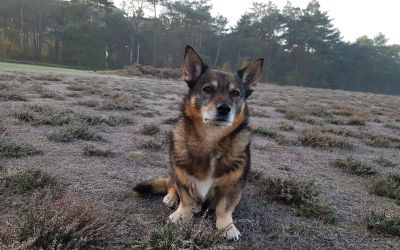 Anjou geniet van het koude weer