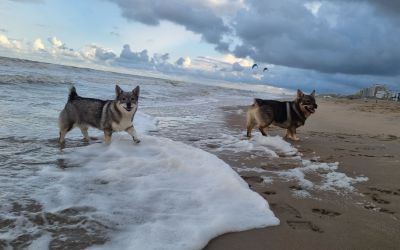 Nova en Arthur aan zee